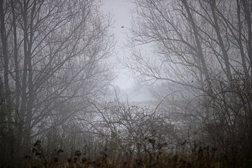 Bomen in de mist van The Art Page Of MG