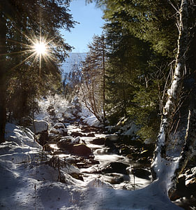 Wildbach im Sonnenlicht