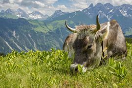 Lunch break by Walter G. Allgöwer
