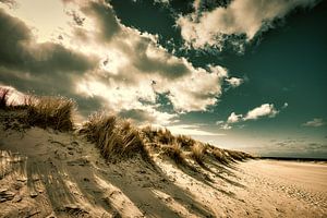 Promenade sur la plage sur Bild.Konserve