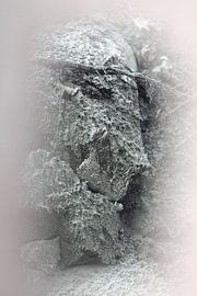 Pareidolia in sand by Erik Stekelenburg