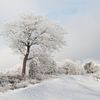 Sneeuwlandschap by Alied Kreijkes-van De Belt
