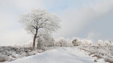 Sneeuwlandschap van Alied Kreijkes-van De Belt