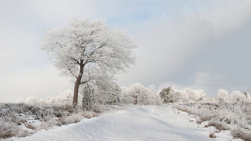 Sneeuwlandschap van Alied Kreijkes-van De Belt