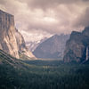 Landscapes