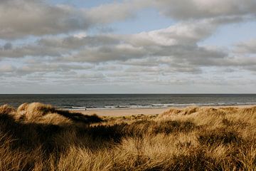 Der Strand von Vlieland von den Dünen aus bei tief stehender Sonne von Colinda Riemens
