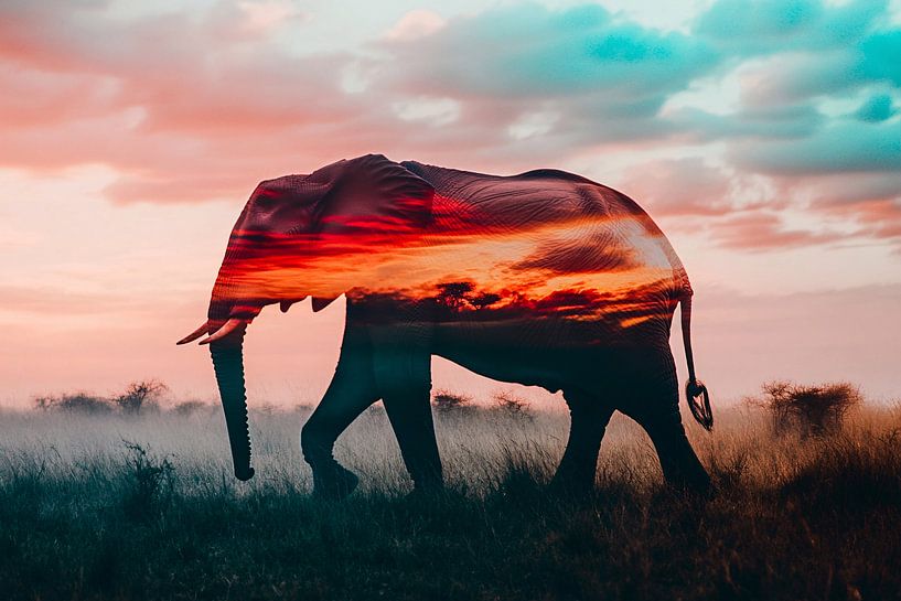 Elefant bei farbenfrohem Sonnenuntergang von Art & Soul Creations