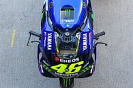 Valentino Rossi van Marco Dek thumbnail
