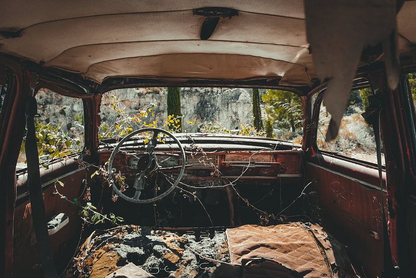 Today I leave the car by Lisa Zet