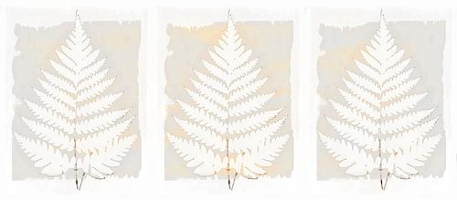 Neutraal Japandi Natuur