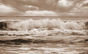 Raue See (Texel) in Sepia