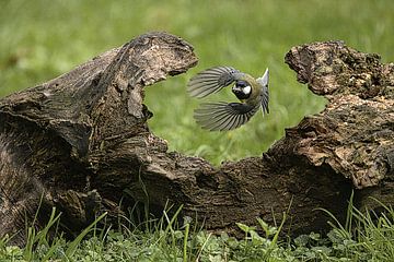 just in time by kees wolthoorn