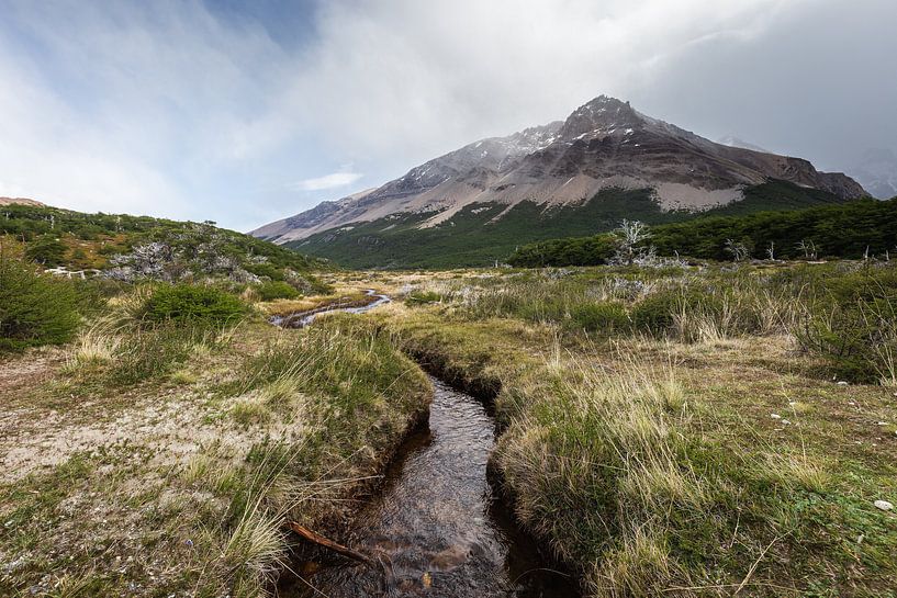 Landschaft des Nationalparks Los Glaciares in Argentinien. von OCEANVOLTA