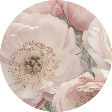 Zacht Pastel Pioenroos.