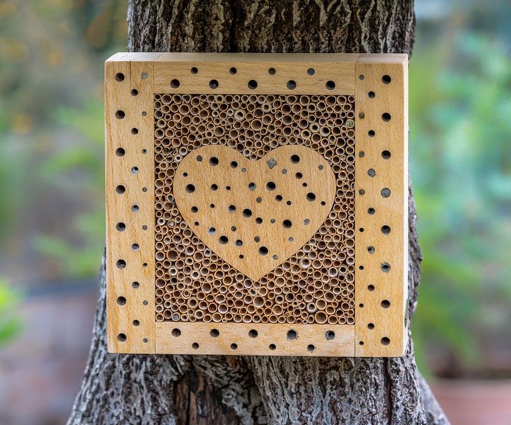 Wooden insect hotel with heart in the middle by ManfredFotos