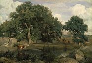 Bos van Fontainebleau, Jean-Baptiste-Camille Corot van Meesterlijcke Meesters thumbnail