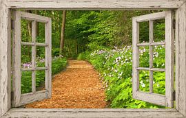 Blick auf einen grünen Waldweg