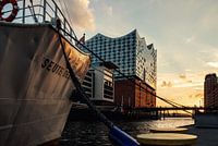 Motor ship Seute Deern in front of Elbphilharmonie building