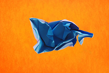 Oranje blauw