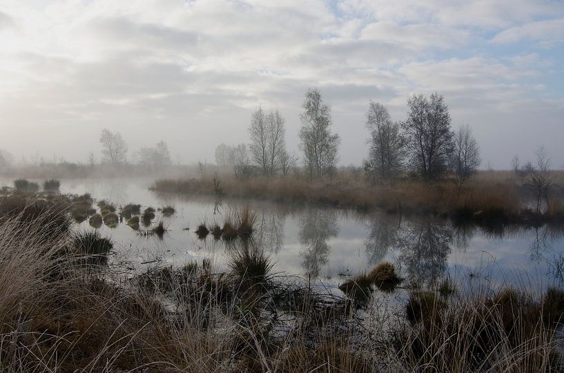 Fochteloërveen  van René Vos