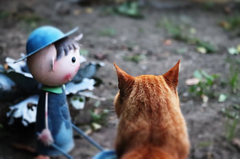 Tuinman decoratie en kat