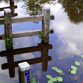 Weerspiegeling in water. Reflection in water. by Joke Schippers