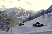 Winterlandschap in de Allgäu