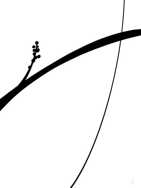 Digital line drawing Harmony part 3 by AnkieArt