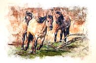 Rennende konikpaarden (kunst) van Art by Jeronimo thumbnail