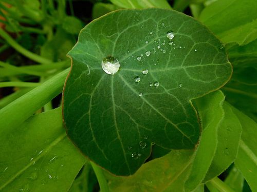 "Diamonds are forever"