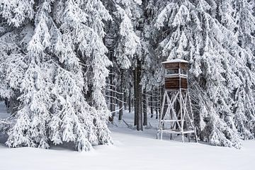 Paysage en hiver dans la forêt de Thuringe sur Rico Ködder