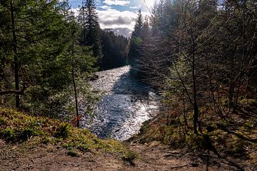 Findhorn rivier in prachtig naaldbos, Schotland van John Ozguc