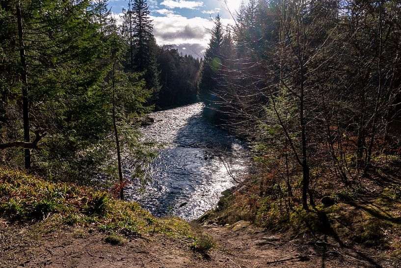 Der Fluss Findhorn in einem wunderschönen Nadelwald, Schottland von John Ozguc