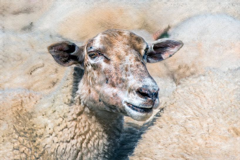 L'usine de laine 9 par Marc Lourens