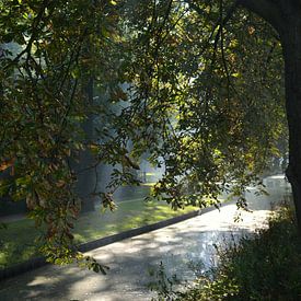 Zon strijkt licht door bomen en op water van Susanne Pieren-Canisius