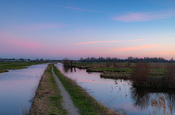Lente op de Winterdijk
