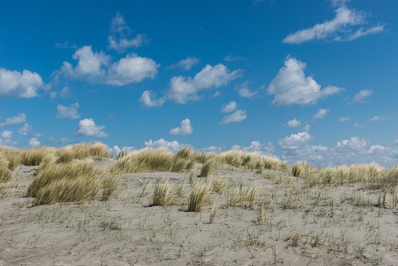 schapenwolken boven de duinen van Patrick Verhoef