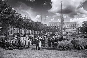 Vieux Haarlem