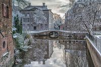 Het Huis met de Paarse Ruitjes
