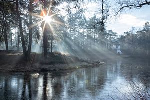 Rosée et soleil matinal Driebergen Zeist ! sur Peter Haastrecht, van