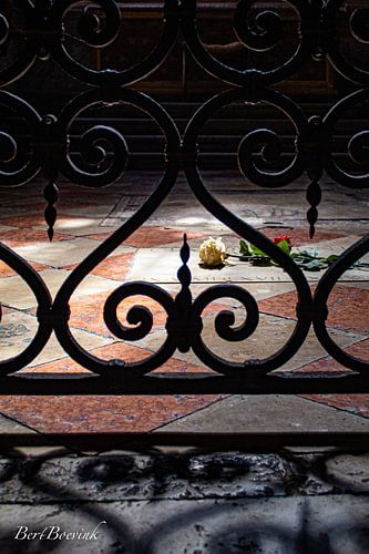 Rose sur la tombe dans la Basilique des Frères
