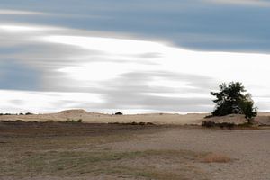 Veluwe langsame Verschlusszeit
