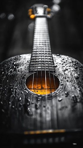 Muziekinstrument in zwart-wit