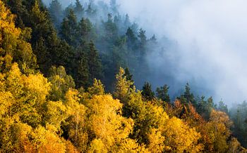 Zee van kleuren in de herfst