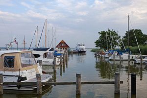 Darß - Hafen Born
