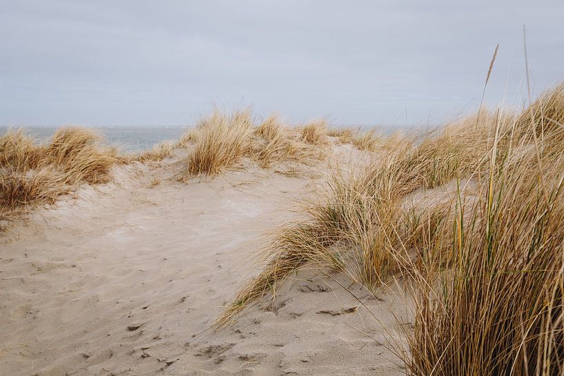 Stürmisches Wetter in den Dünen am Strand des Nordkaps von Texel | Niederländische Landschaften im W von Evelien Lodewijks