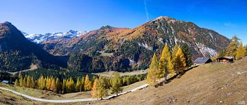 Herbstpanorama in Flachauwinkl von Christa Kramer