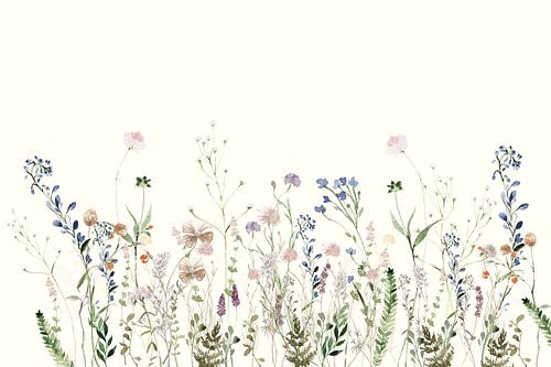 Wildflower Meadow Summer Creme