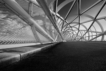 (bicycle) bridge 'Green connection' black and white perspective by Manon Ruitenberg