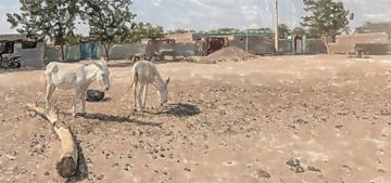 Place de village avec des ânes au Soudan sur Frank Heinz